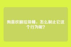 狗喜欢翻垃圾桶，怎么制止它这个行为呢？