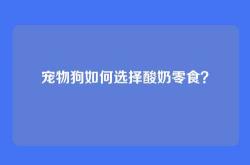 宠物狗如何选择酸奶零食？