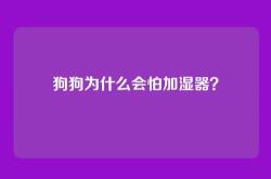 狗狗为什么会怕加湿器？