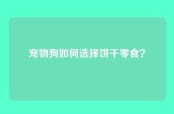 宠物狗如何选择饼干零食？