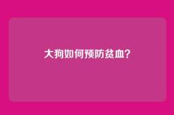 大狗如何预防贫血？