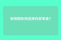 宠物狗如何选择肉泥零食？