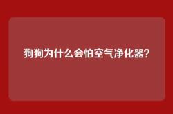 狗狗为什么会怕空气净化器？