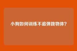 小狗如何训练不追弹跳物体？