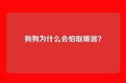 狗狗为什么会怕取暖器？