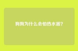 狗狗为什么会怕热水器？