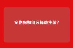 宠物狗如何选择益生菌？