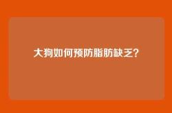 大狗如何预防脂肪缺乏？