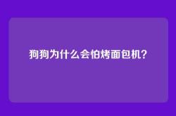 狗狗为什么会怕烤面包机？