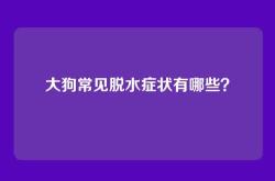 大狗常见脱水症状有哪些？