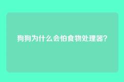 狗狗为什么会怕食物处理器？