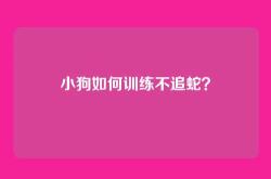 小狗如何训练不追蛇？
