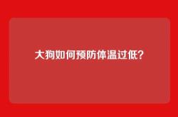 大狗如何预防体温过低？