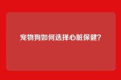 宠物狗如何选择心脏保健？