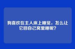 狗喜欢在主人床上睡觉，怎么让它回自己窝里睡呢？