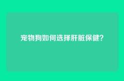 宠物狗如何选择肝脏保健？