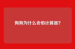 狗狗为什么会怕计算器？