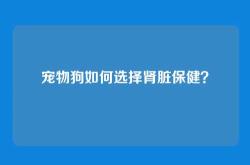 宠物狗如何选择肾脏保健？