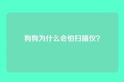 狗狗为什么会怕扫描仪？