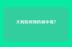 大狗如何预防碱中毒？