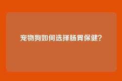 宠物狗如何选择肠胃保健？