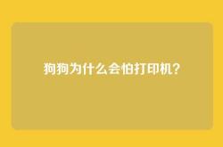 狗狗为什么会怕打印机？