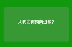 大狗如何预防过敏？