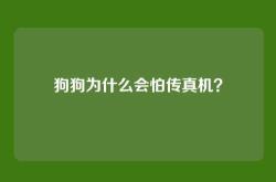 狗狗为什么会怕传真机？