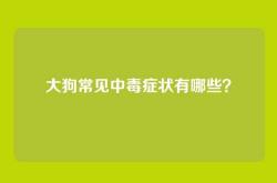 大狗常见中毒症状有哪些？