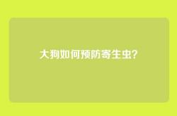 大狗如何预防寄生虫？