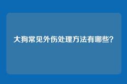大狗常见外伤处理方法有哪些？