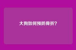 大狗如何预防骨折？