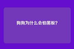 狗狗为什么会怕黑板？