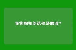 宠物狗如何选择洗眼液？