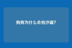 狗狗为什么会怕沙漏？