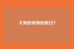 大狗如何预防脱臼？