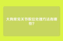 大狗常见关节脱位处理方法有哪些？