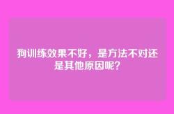 狗训练效果不好，是方法不对还是其他原因呢？