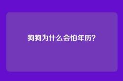 狗狗为什么会怕年历？