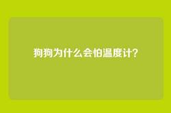 狗狗为什么会怕温度计？