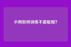 小狗如何训练不追蚯蚓？