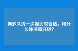 狗多久洗一次澡比较合适，用什么沐浴露好呢？