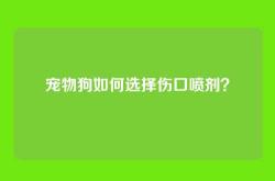 宠物狗如何选择伤口喷剂？