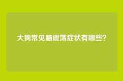 大狗常见脑震荡症状有哪些？