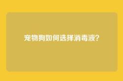 宠物狗如何选择消毒液？