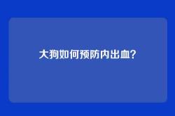 大狗如何预防内出血？