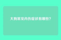 大狗常见内伤症状有哪些？