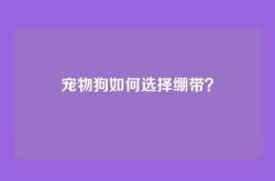 宠物狗如何选择绷带？