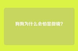 狗狗为什么会怕显微镜？