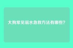 大狗常见溺水急救方法有哪些？